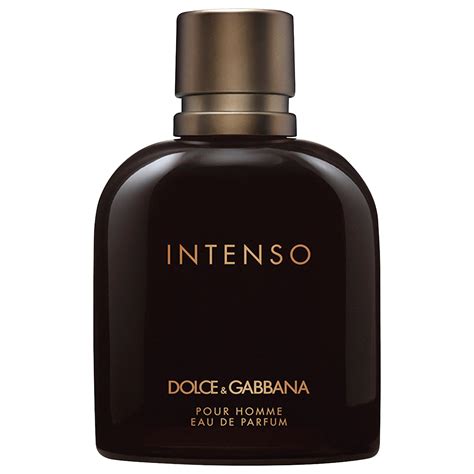 perfume dolce gabbana masculino intenso|dolce and gabbana intenso notes.